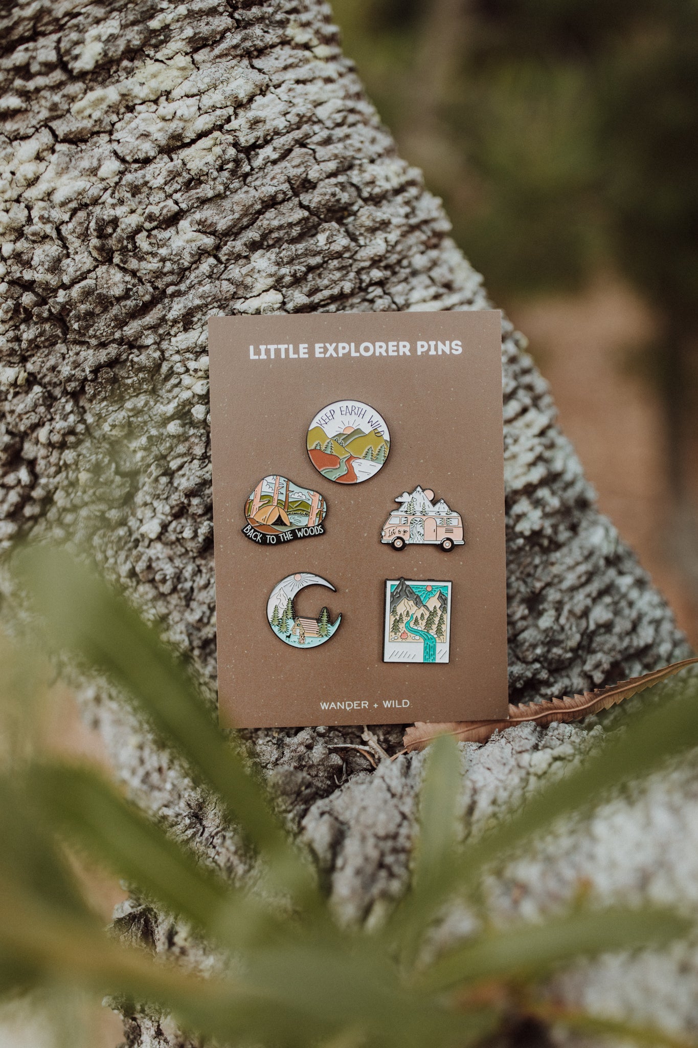 Little Explorer Pins