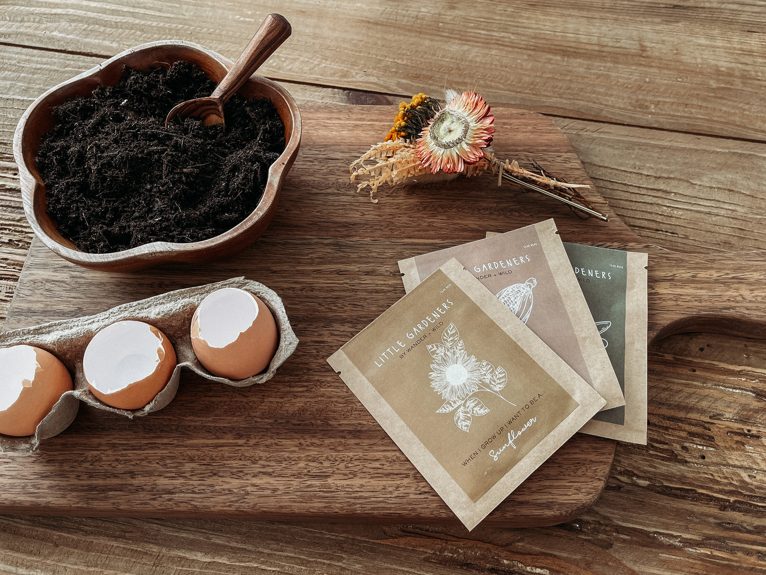 Egg Shell Seed Planting Craft 