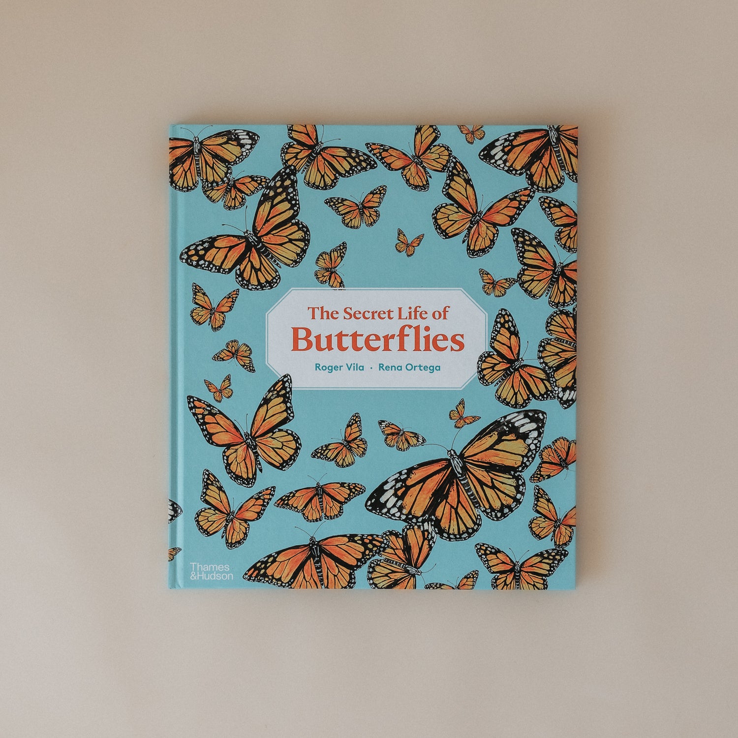 The Secret Life of Butterflies