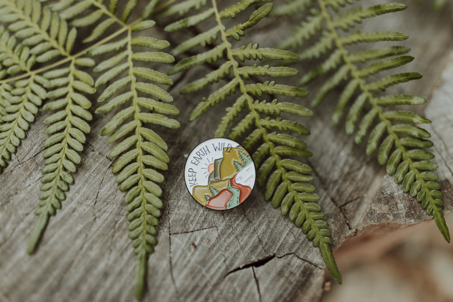 Little Explorer Pins