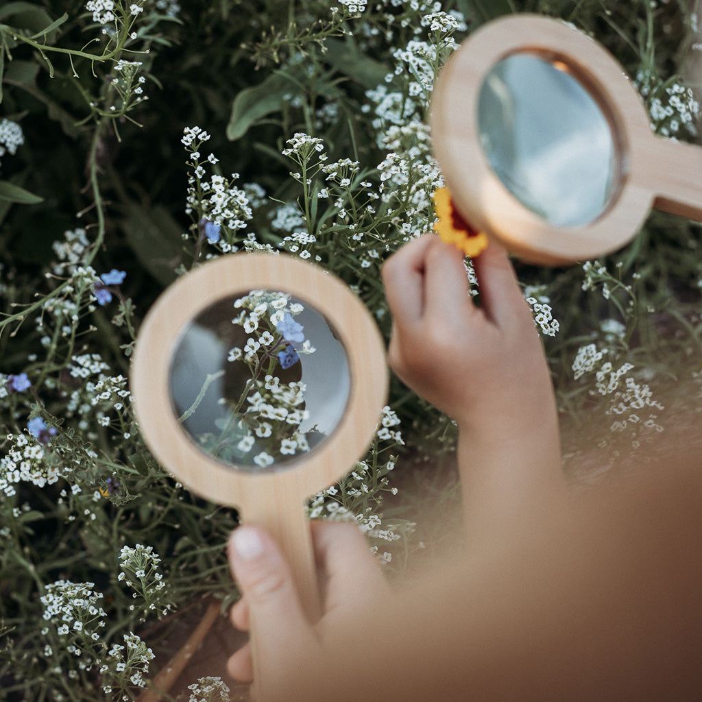 Wooden magnifying glass looking at wild flowers - top view