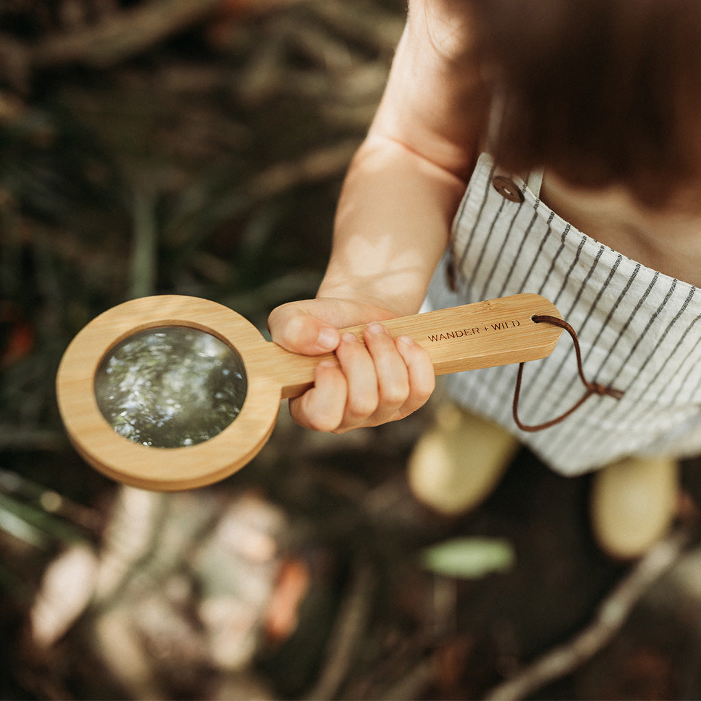 Children's bamboo magnifying glass top view