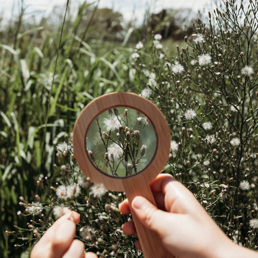 Children's magnifying glass focusing on flowers 