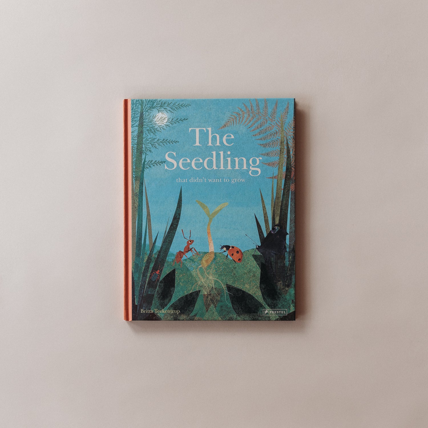 The Seedling That Didn't Want to Grow