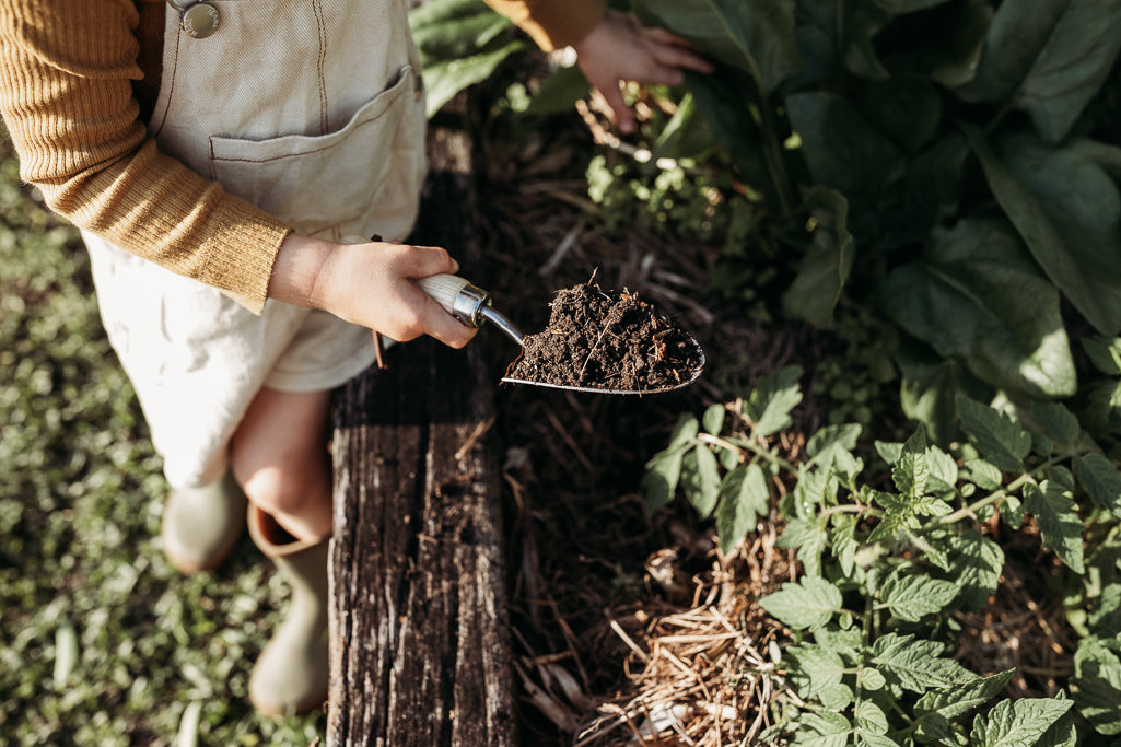 Little girl using gardening trowel to scoop dirt out of the veggie patch