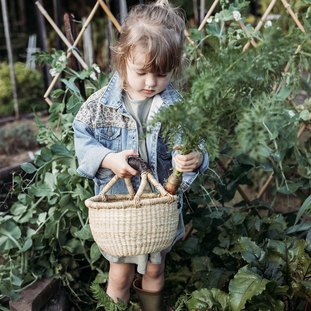 Little Explorer Basket - Black