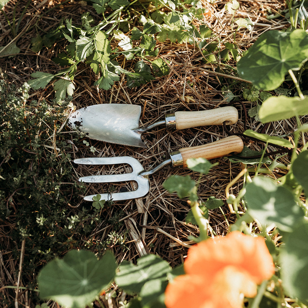 Children's gardening tools with wooden handles lying in veggie patch