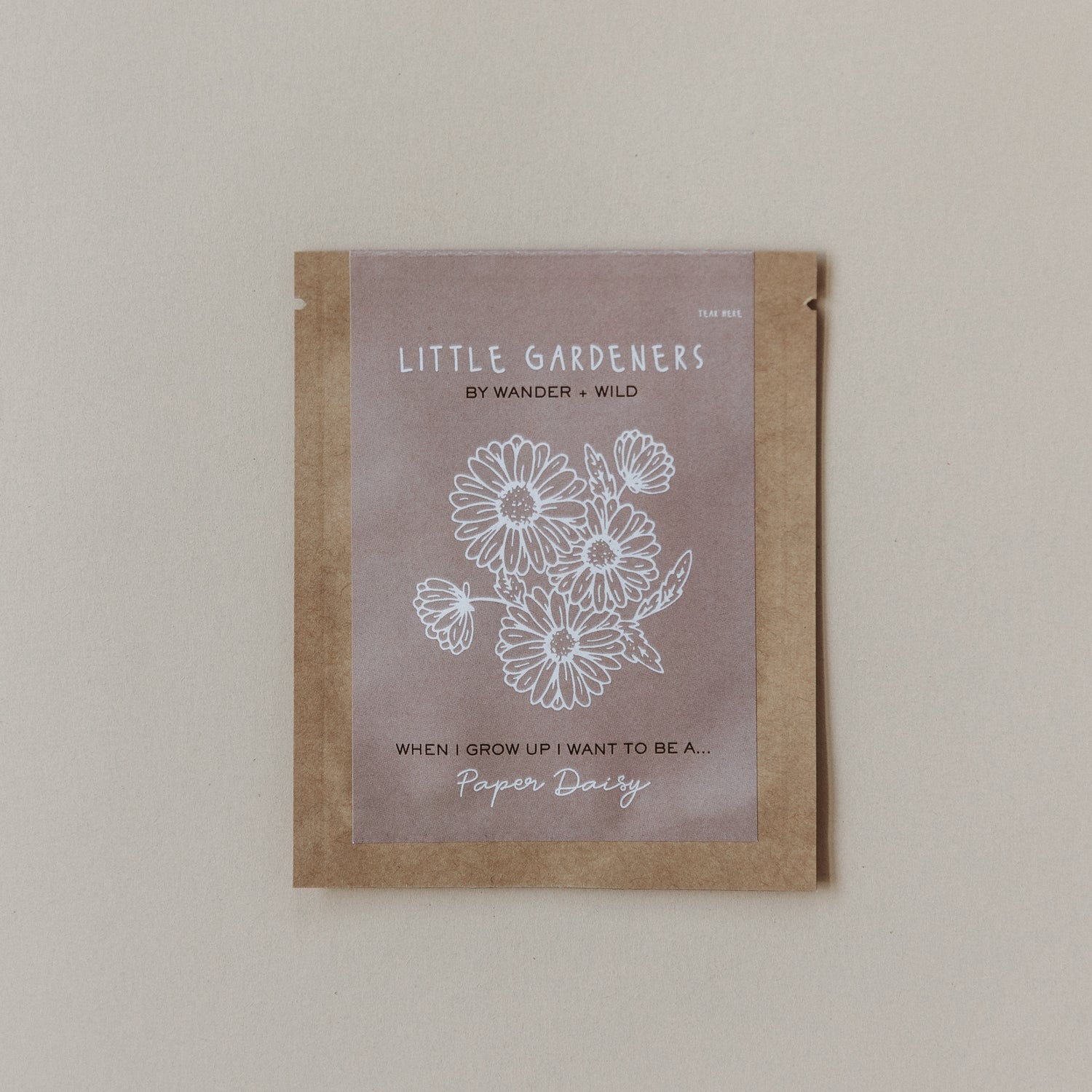 Little Gardeners - Paper Daisy Seeds